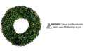Trademark Global Pure Garden Faux Boxwood 16.5" Round Wreath 